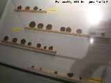 Museo Arqueológico de Galera. Monedas iberas y romanas